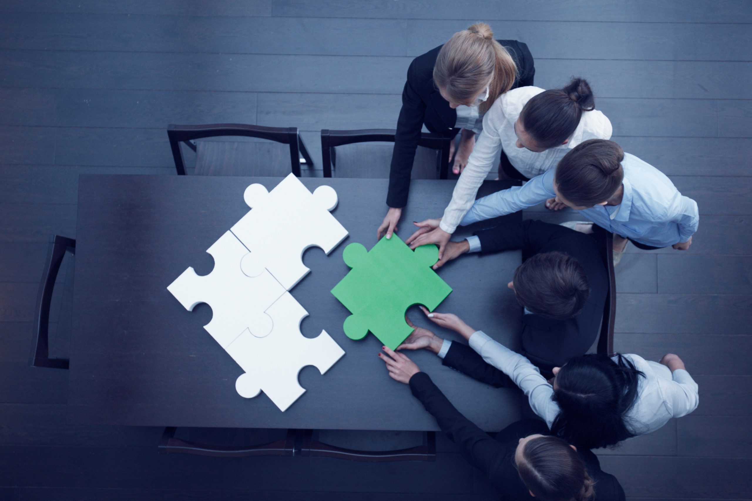 Group,Of,Business,People,Assembling,Jigsaw,Puzzle,,Team,Support,And medsu-governance-services-and-technology